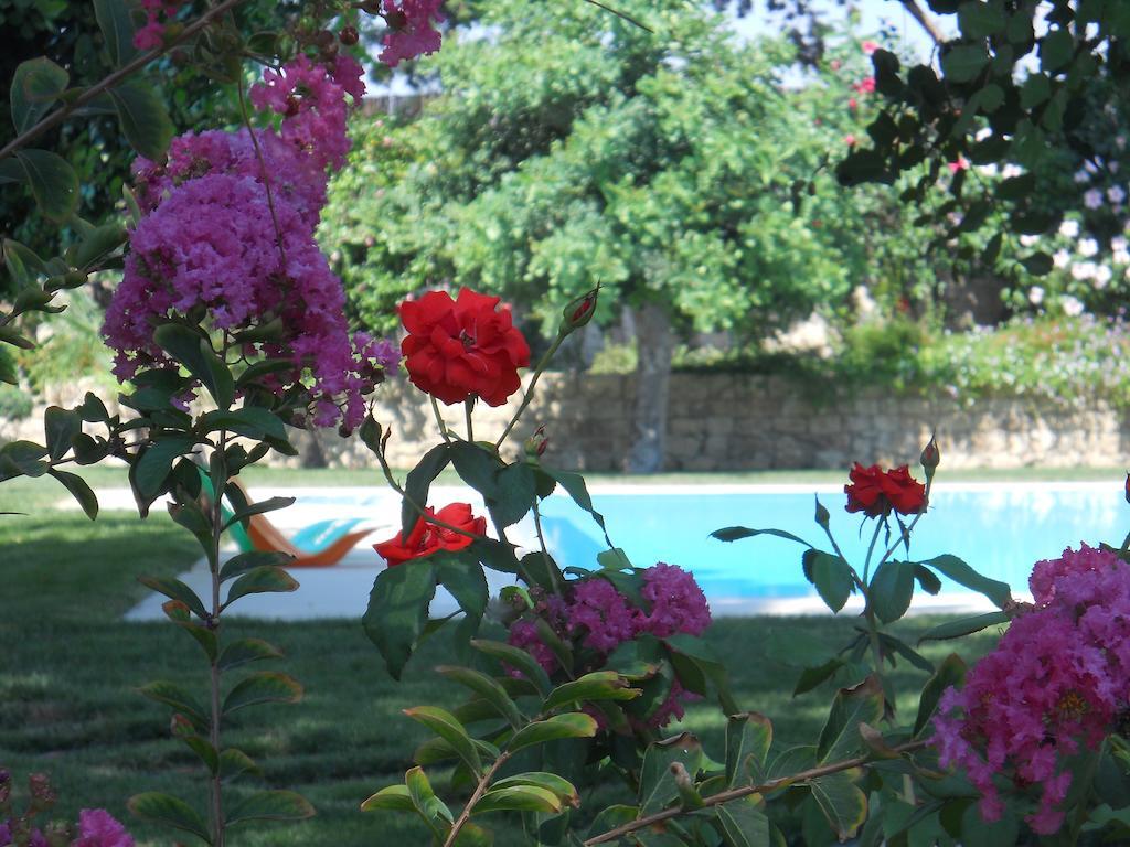 Il Giardino Dei Carrubi Villa Donnalucata  Room photo